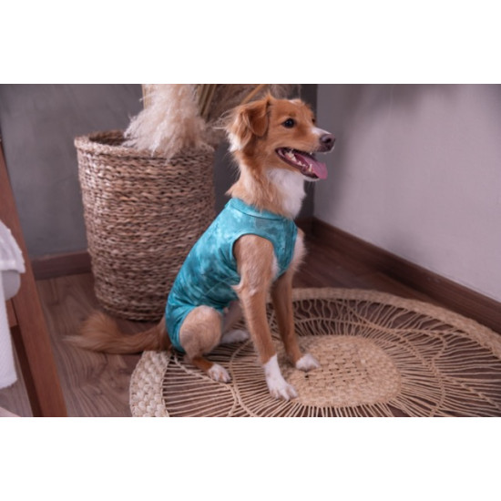 Îmbrăcăminte de Protecție „Dry Light Supreme Dog” Verde Mărimea 13 (38 – 45 kg) UV 50 plus, Antimicrobiană, Dry